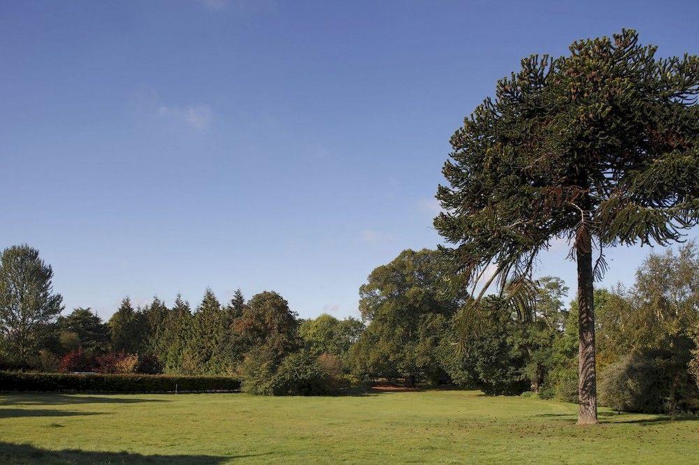 Woodland Grange Hotel Lillington  Екстериор снимка